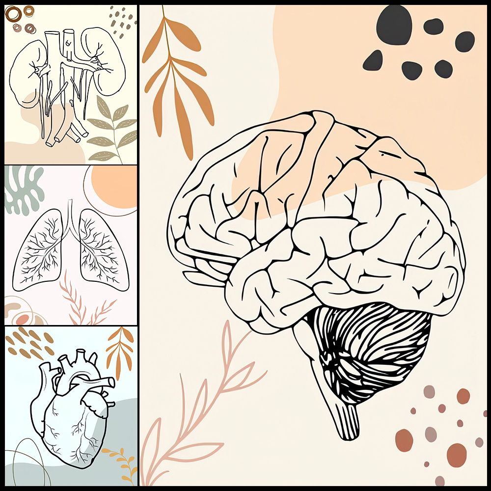 Science Nursery - Póster de biología para guardería, ciencia