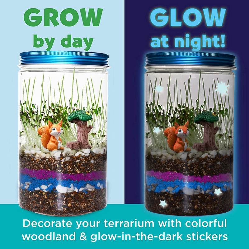 Juego de Cajas de Cultivo para - Science Nursery reseña y precio
